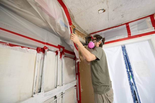 Best Environmental Consulting for Mold Prevention  in Edinburg, TX