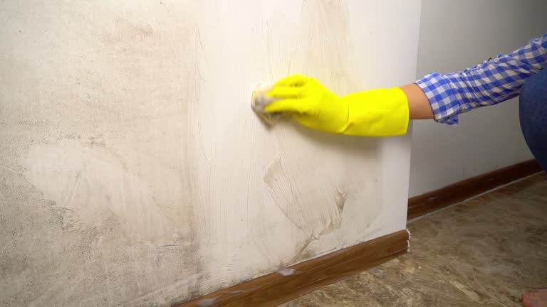 Best Mold Removal for HVAC Installations  in Edinburg, TX